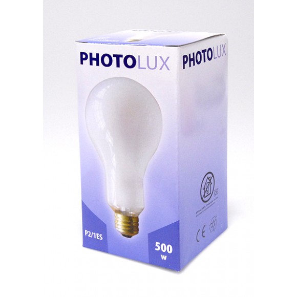 P2/1ES  500W 220V Photoflood Bulb ES FITTING